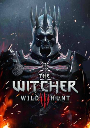 The Witcher 3 Wild Hunt poster