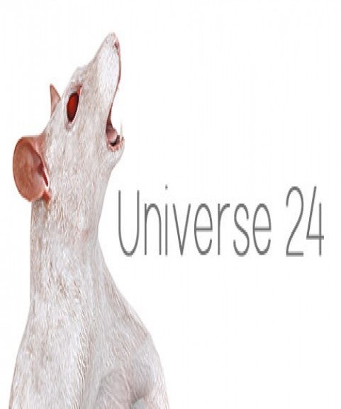 Universe 24