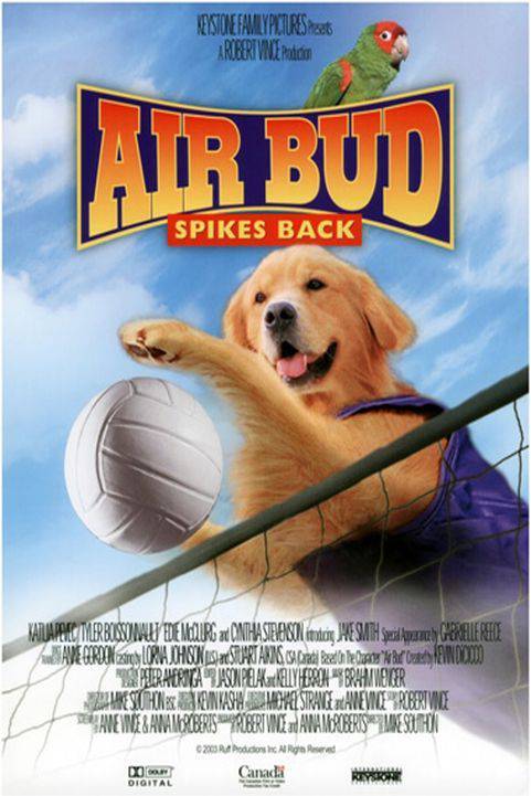 Air Bud Spikes Back (2003) poster