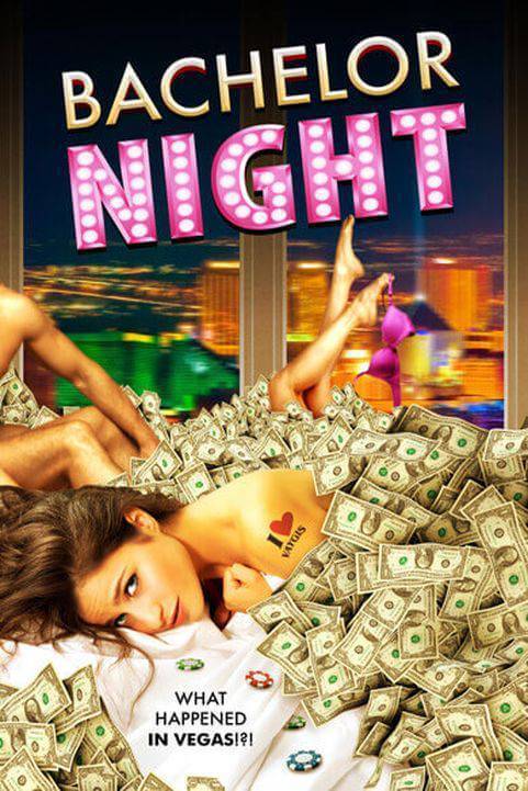 Bachelor Night (2014) poster