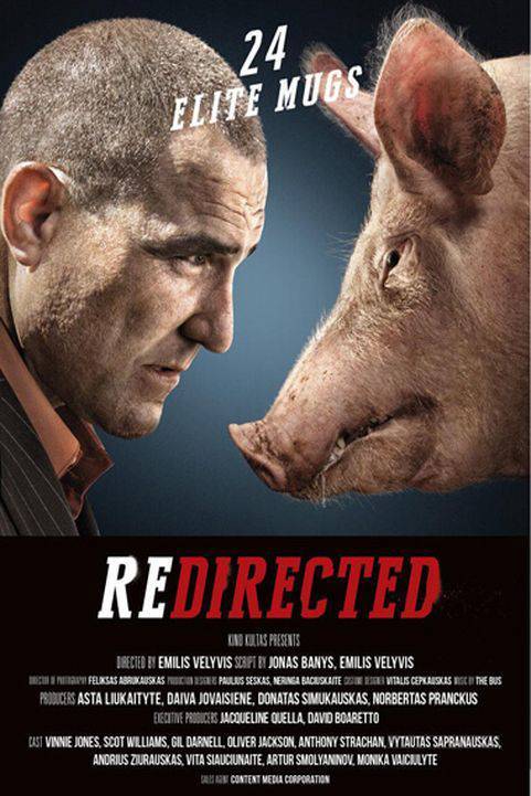 Redirected (2014) poster