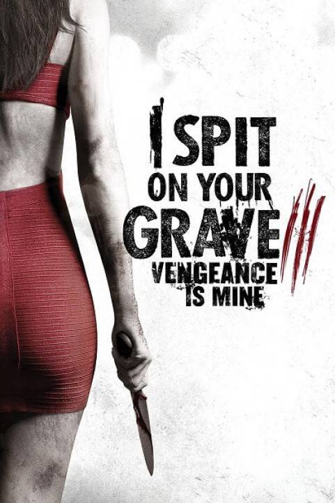 I Spit on Your Grave: Vengeance is Mine (2015) poster