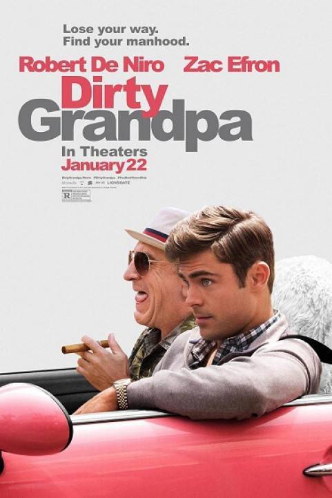 Dirty Grandpa (2016) poster