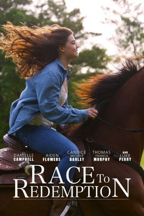 Race to Win (2016) poster