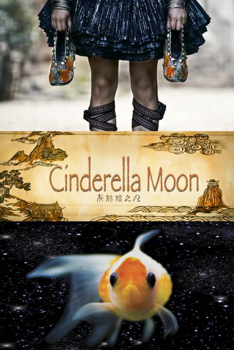 Cinderella Moon poster