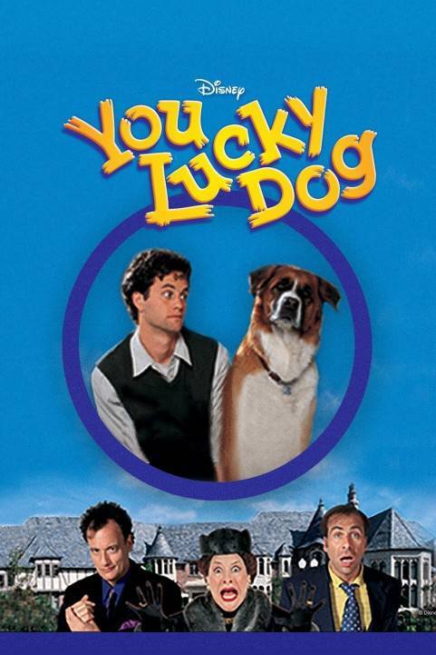 You Lucky Dog poster