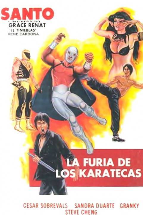 La furia de los karatecas poster