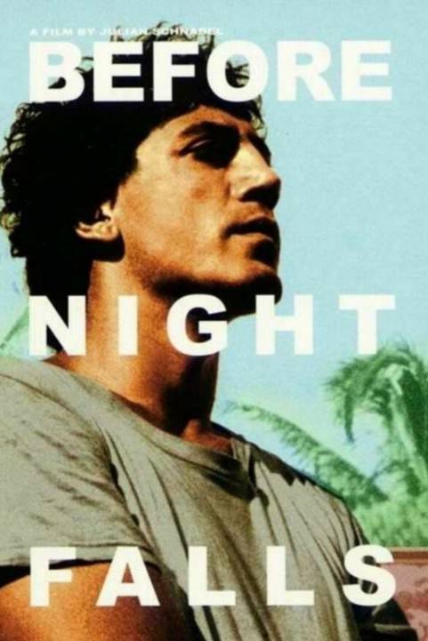 Before Night Falls poster