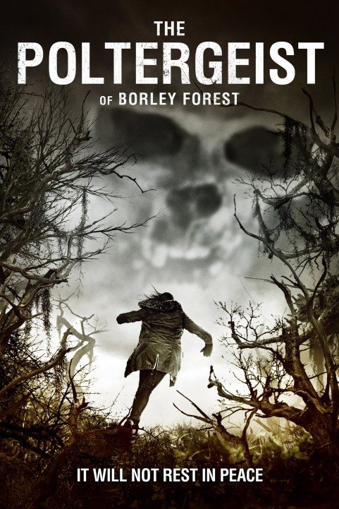The Poltergeist of Borley Forest (2013) poster