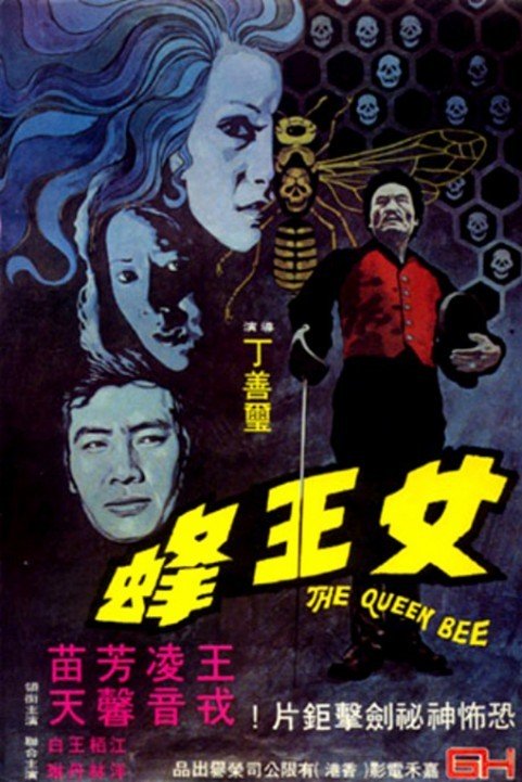 Nu wang feng (1973) poster