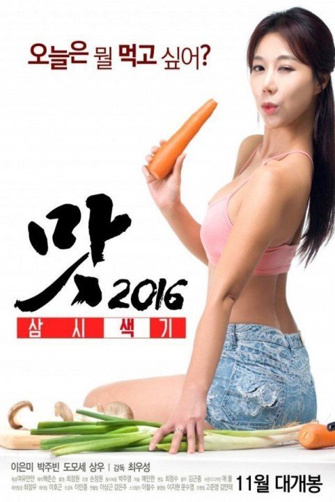 맛 2016: 삼시색끼 (2016) poster