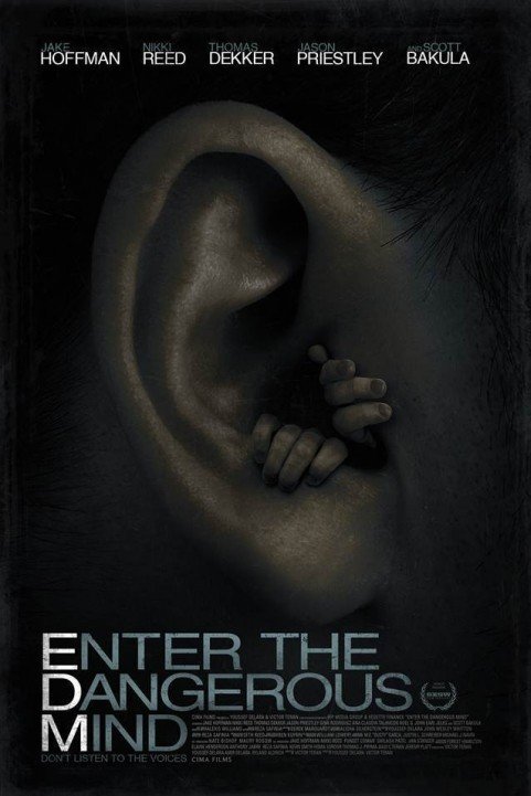 Enter the Dangerous Mind (2013) poster