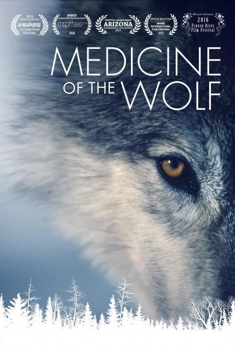 Medicine of the Wolf (2015) poster