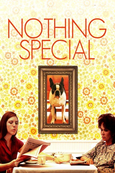 Nothing Special (2010) poster