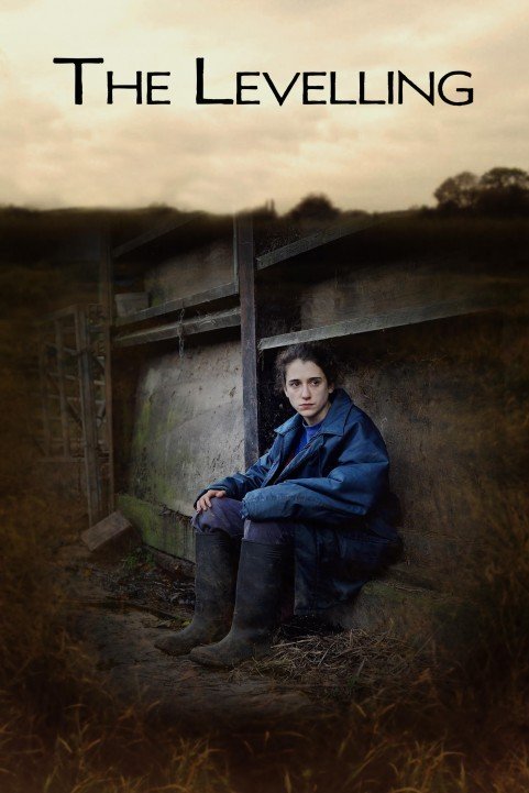 The Levelling (2017) poster