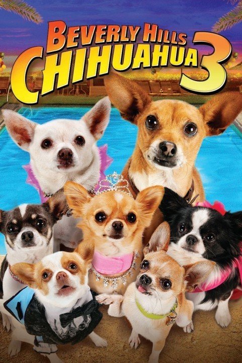 Beverly Hills Chihuahua 3 - Viva La Fiesta! (2012) poster