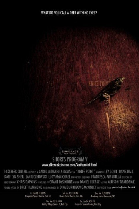 Knife Point (2009) poster