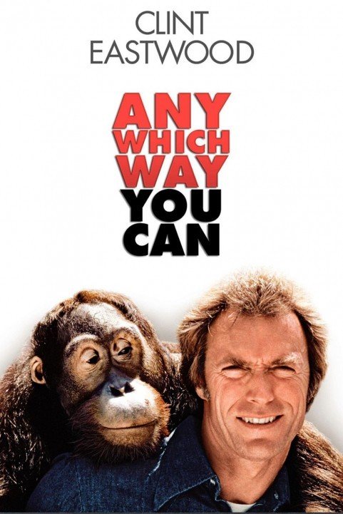 Any Which Way You Can (1980) poster