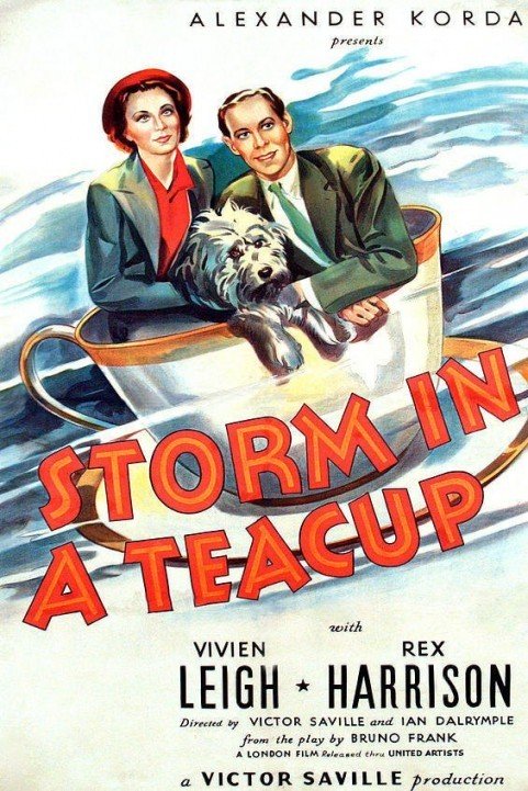 Storm in a Teacup (1937) poster