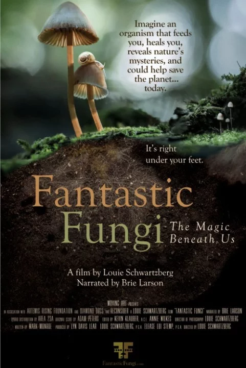 Fantastic Fungi (2019) poster