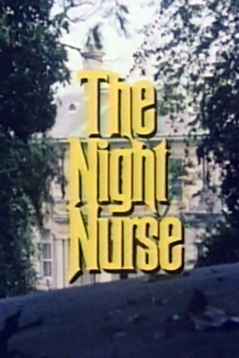 The Night Nurse (1978) poster