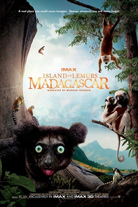 Madagascar 3D poster