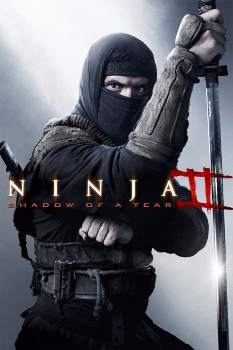 Ninja: Shadow of a Tear (2013) poster