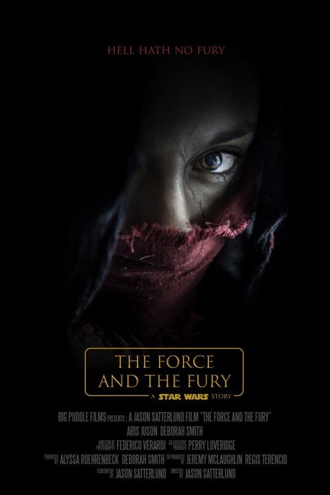 Star Wars: The Force and the Fury (2017) poster