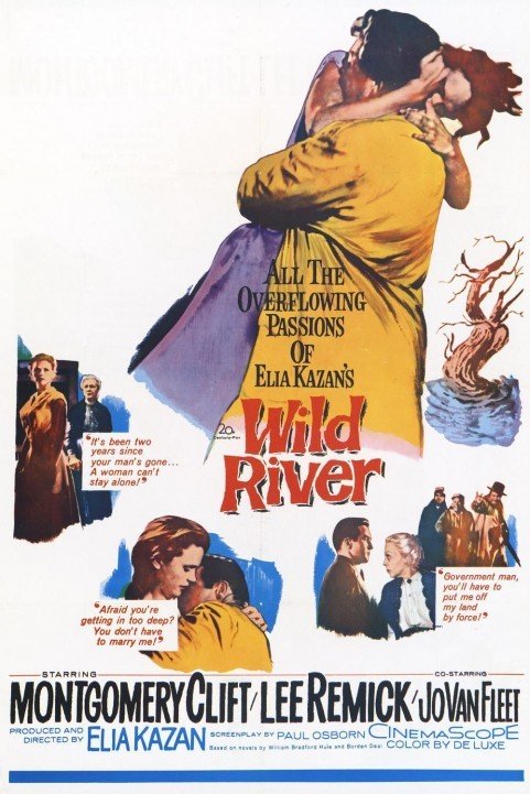 Wild River (1960) poster