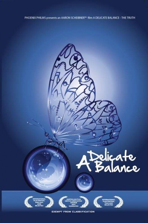 A Delicate Balance: The Truth (2008) poster