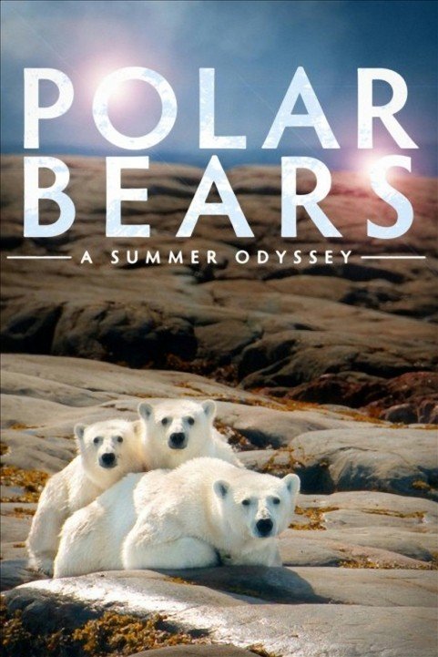 Polar Bears: A Summer Odyssey (2012) poster