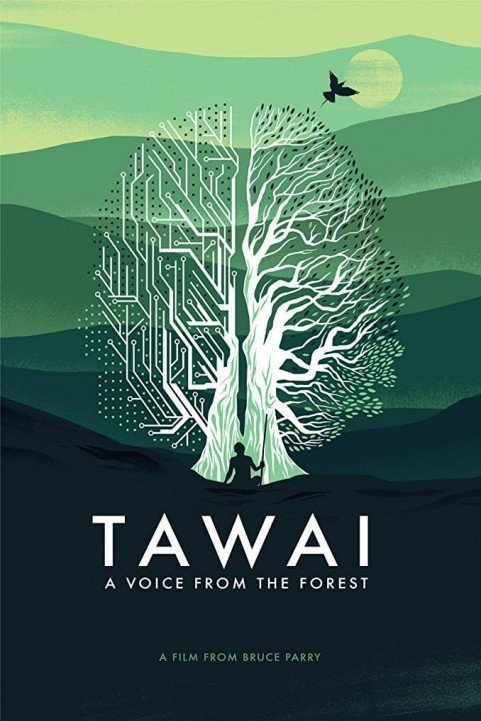 Tawai: A voice from the forest (2017) poster