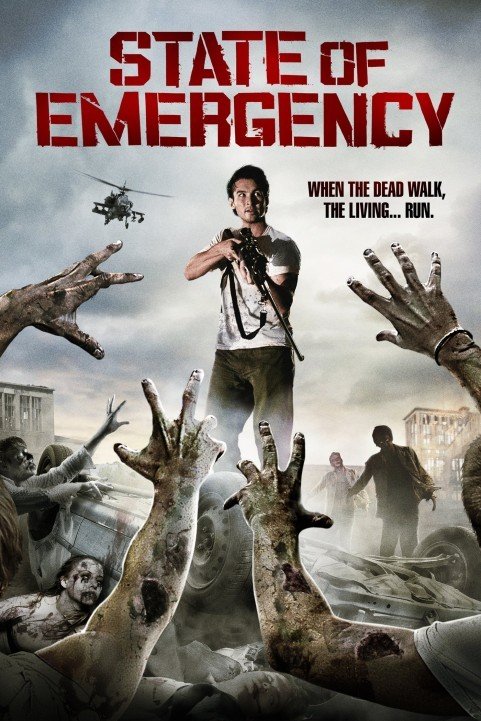 State of Emergency (2011) poster