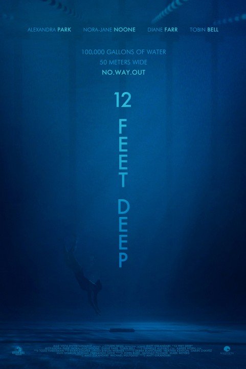 12 Feet Deep (2016) poster