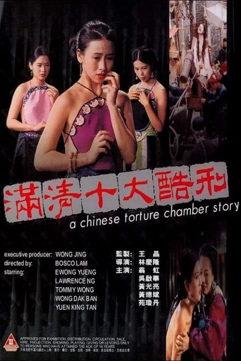 A Chinese Torture Chamber Story poster