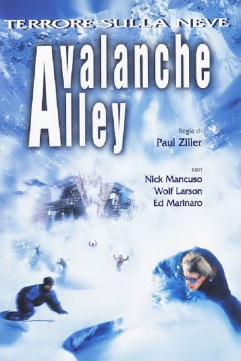 Avalanche Alley poster
