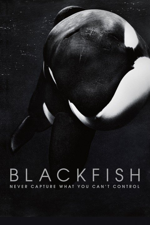 Blackfish (2013) poster