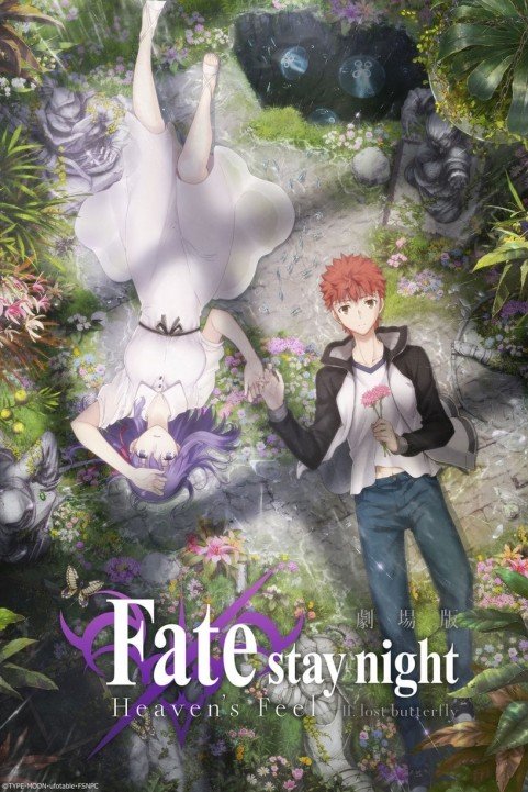 Fate/stay ni poster