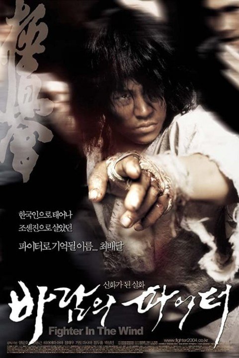 Fighter in the Wind poster
