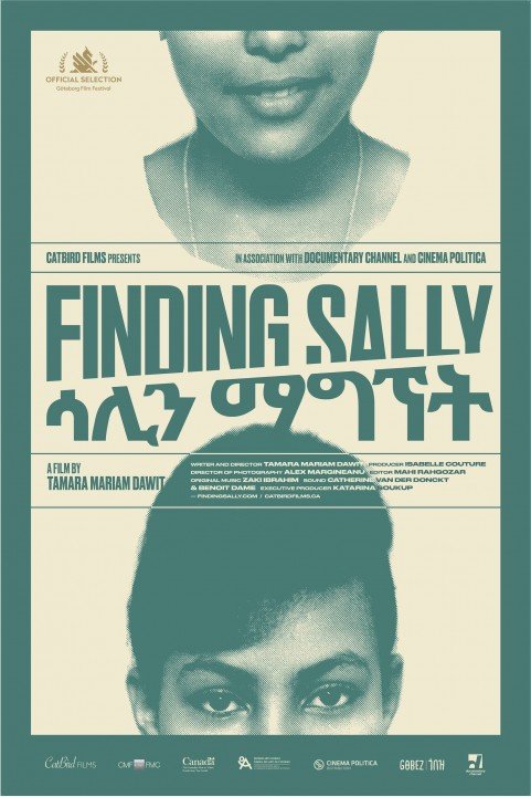 Finding Sally poster