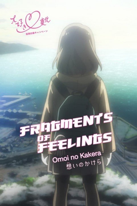 Fragments of Feelings poster