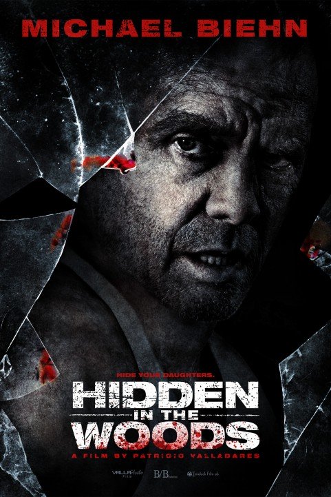 Hidden in the Woods (2014) poster