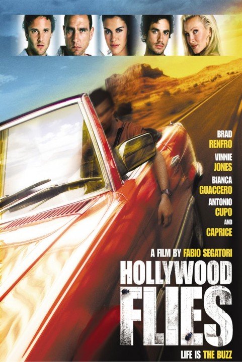 Hollywood Flies poster