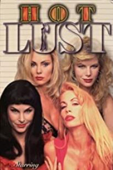 Hot Lust at the Disco poster