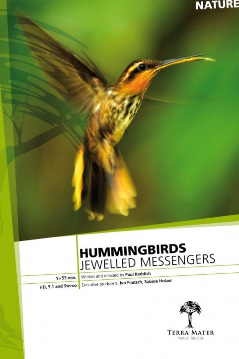 Hummingbirds: Jewelled Messengers poster