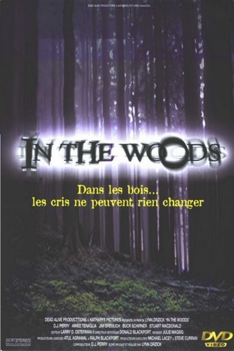 In the Woods poster