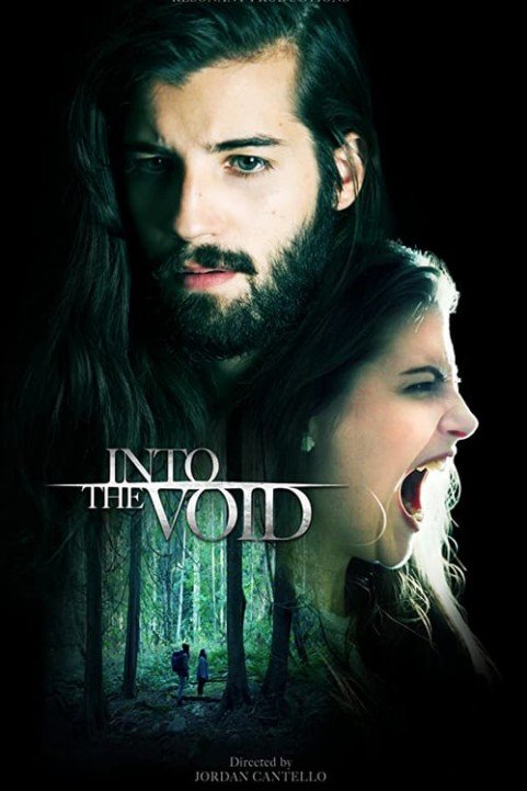 Into The Void poster