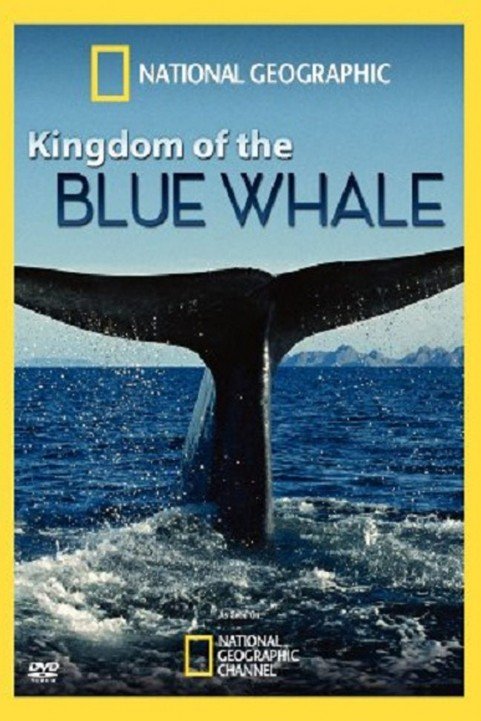 Kingdom of the Blue Whale poster