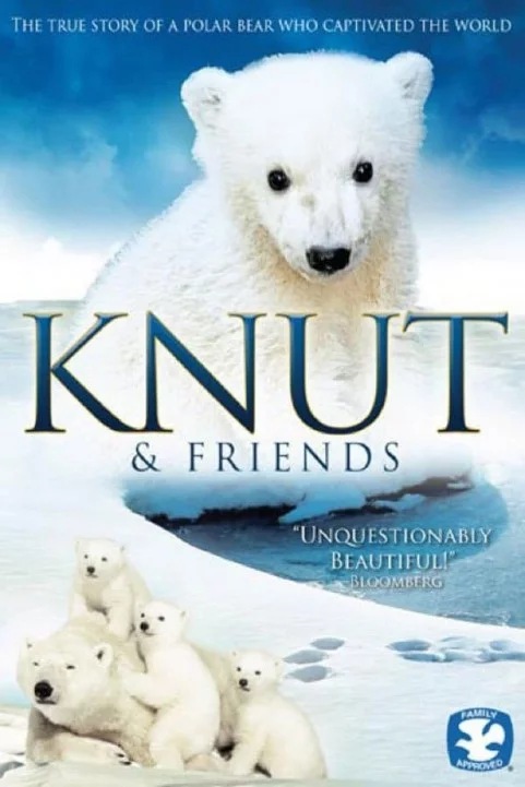 Knut und seine Freunde poster