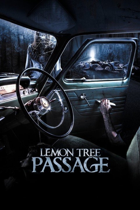 Lemon Tree Passage (2014) poster